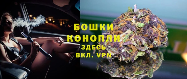 ГАЛЛЮЦИНОГЕННЫЕ ГРИБЫ Кукмор