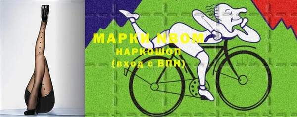 ГАЛЛЮЦИНОГЕННЫЕ ГРИБЫ Кукмор