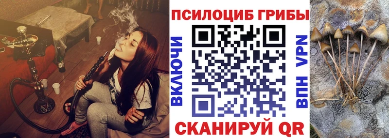Псилоцибиновые грибы Cubensis  Купить где  Багратионовск 